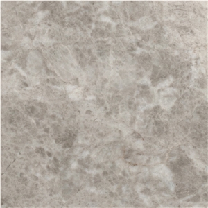 Spider Gray Tile