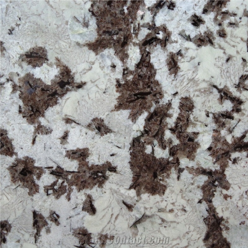 Splendor White Granite importance=