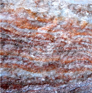 Spotted Comb Alabaster
