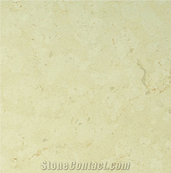 St. Croix de Mareuil Limestone Tile