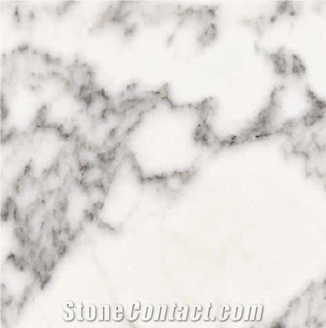 Statuario Altissimo Marble Tile