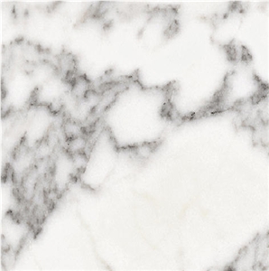 Statuario Altissimo Marble Tile
