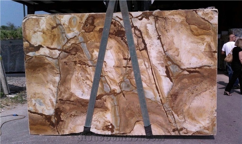 Stone Wood Quartzite Slab