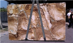 Stone Wood Quartzite Slab