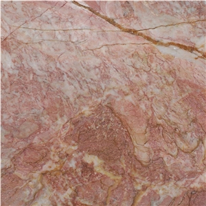 Stoneycombe Limestone