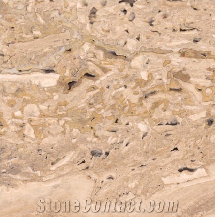 Sutto Multicolor importance=