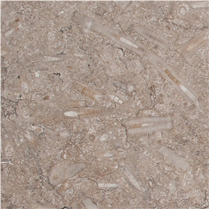 Swaledale Fossil Brown
