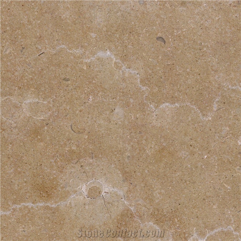Tamoco Beige importance=