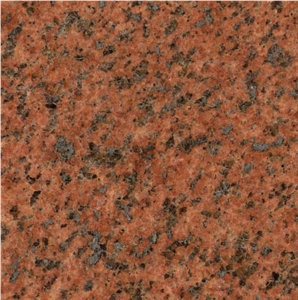 Tasmania Red