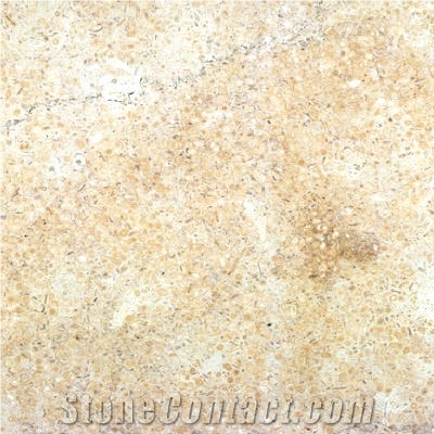 Tenniken Limestone importance=