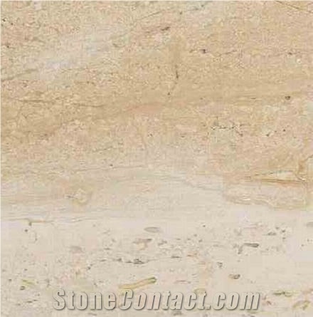 Tepexi Fiorito Limestone importance=