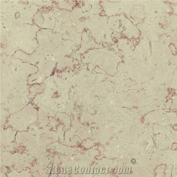 Terrasanta Marble Tile