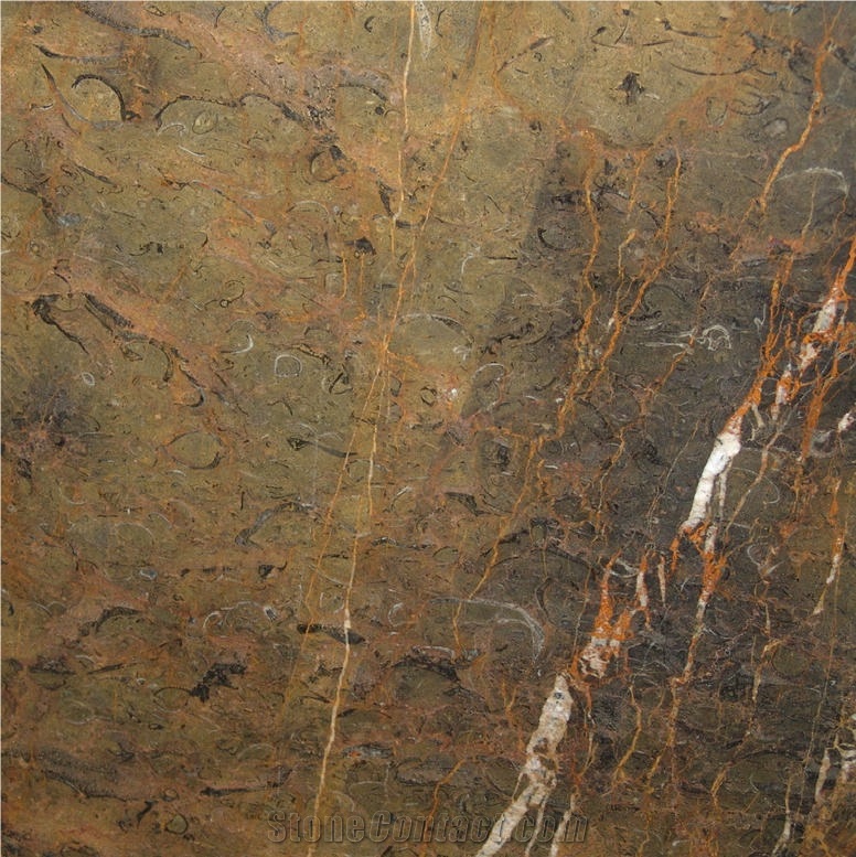 Terre di Siena importance=