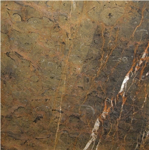 Terre di Siena