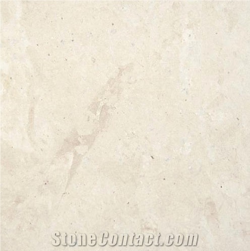 Thala Beige Coquillage Limestone importance=