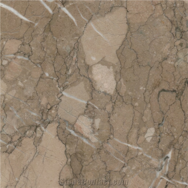 Tiger Beige importance=