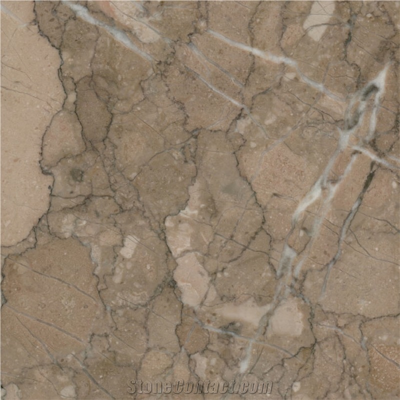 Tiger Beige Tile