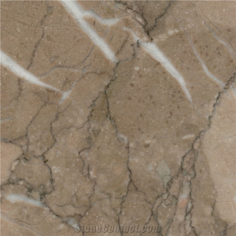 Tiger Beige Tile