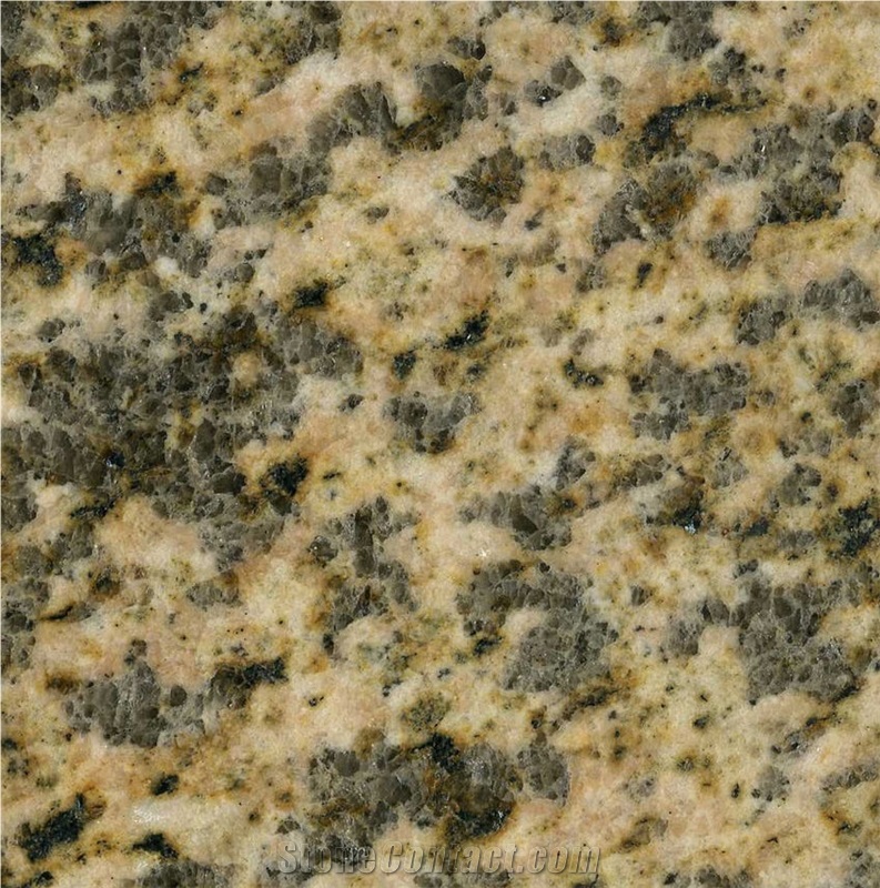 Tiger Skin Yellow Granite importance=