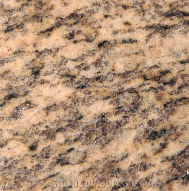 Tiger Skin Yellow Granite Tile