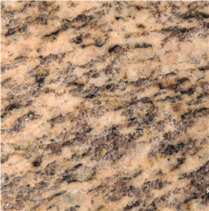 Tiger Skin Yellow Granite Tile
