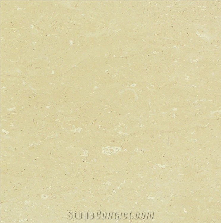 Tigre Beige Limestone importance=