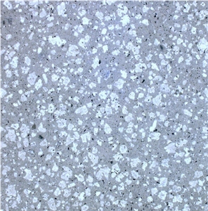 Trachite Zovonite Grigia