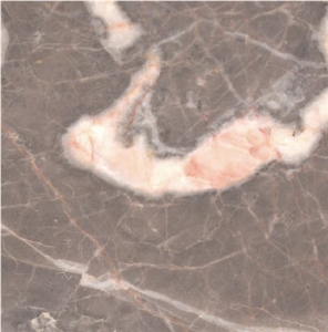 Trahyte Limestone
