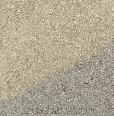 Transilvania Grey importance=