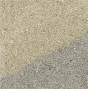 Transilvania Grey