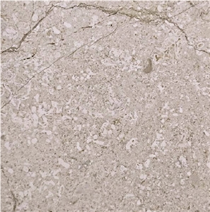 Transilvania Grey Tile