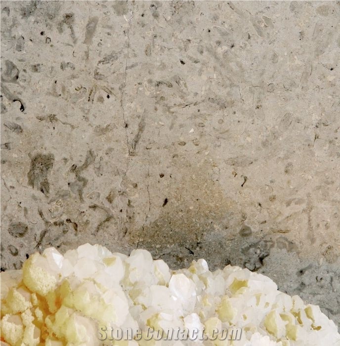 Transylvania Coral Limestone Finished Product