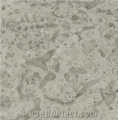 Transylvania Coral Limestone importance=