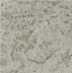 Transylvania Coral Limestone