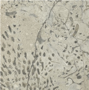 Transylvania Deep Coral Limestone