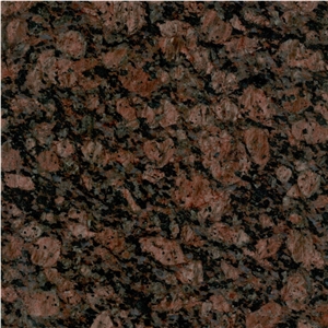 Tropical Brown