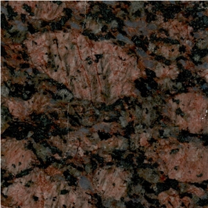 Tropical Brown Tile
