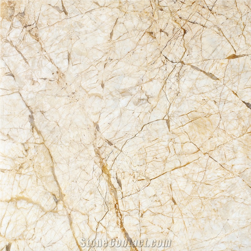 Turkey Golden Spider Marble Tile