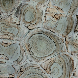 Turtle Green Quartzite