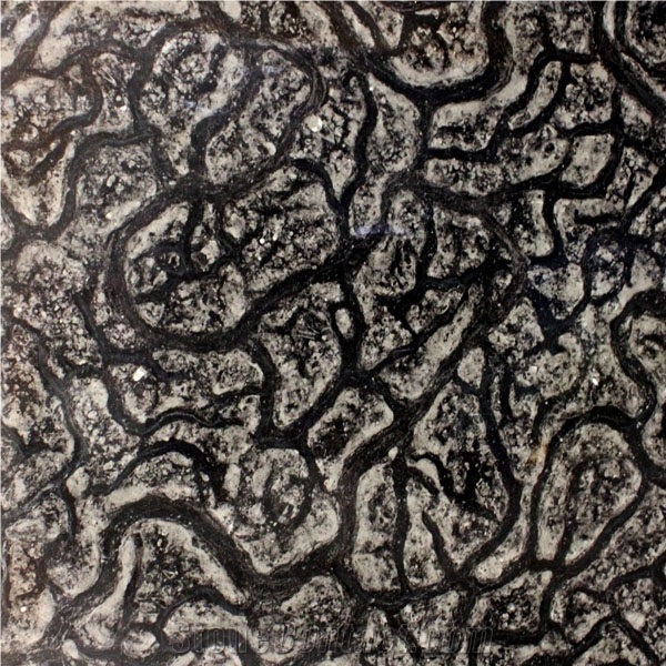 Turtle Venato Marble importance=