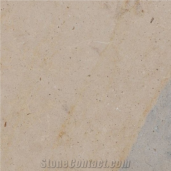 Vale Amazona Tile