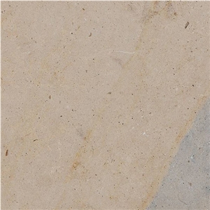 Vale Amazona Tile