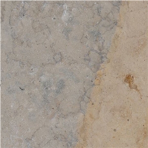 Vale Amazona Tile