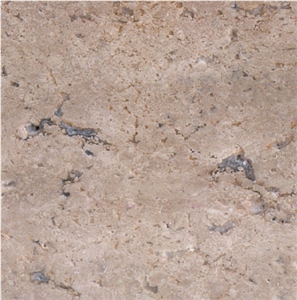 Variegation Travertine