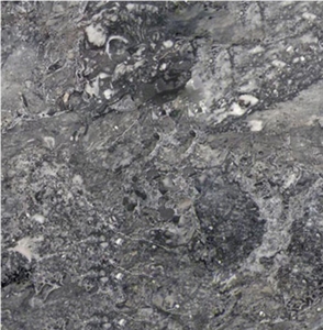 Vein Black Marble