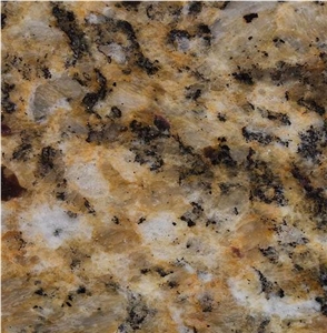 Venetian Gold Granite Tile