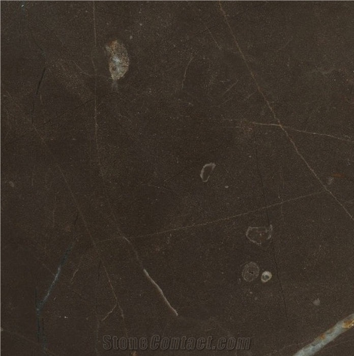 Venice Brown Marble importance=