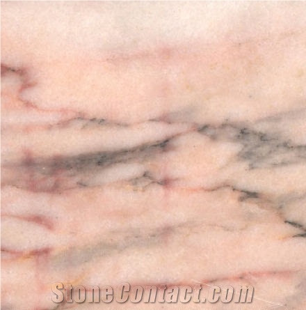 Venus Rosa importance=