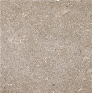 Verde Caceres Limestone