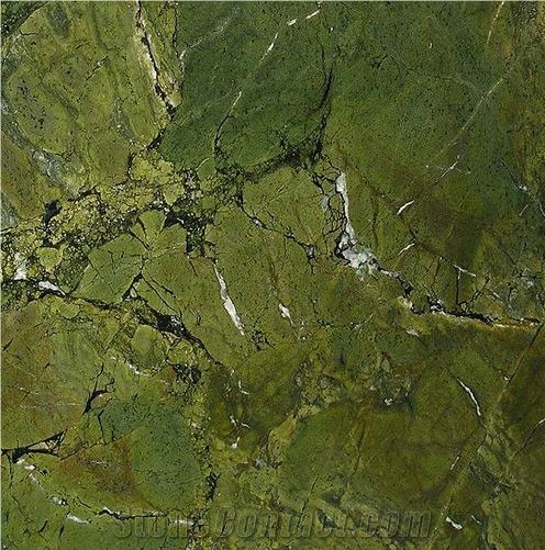 Verde Fantastico Quartzite Tile